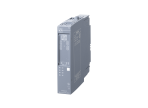 6DL1131-6GF00-0PK0